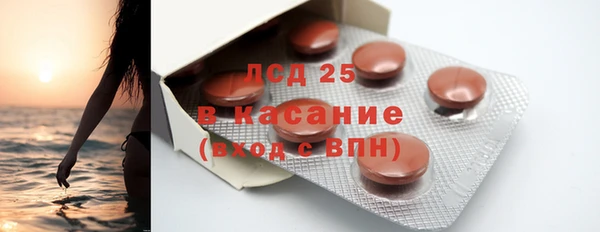 гидра Аркадак