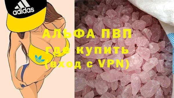 гидра Аркадак