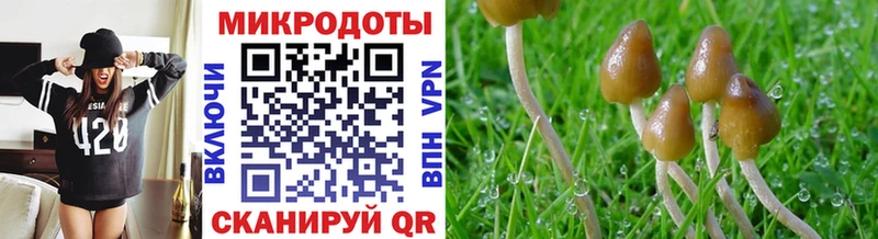 darknet состав  Фатеж  Псилоцибиновые грибы мухоморы  хочу  
